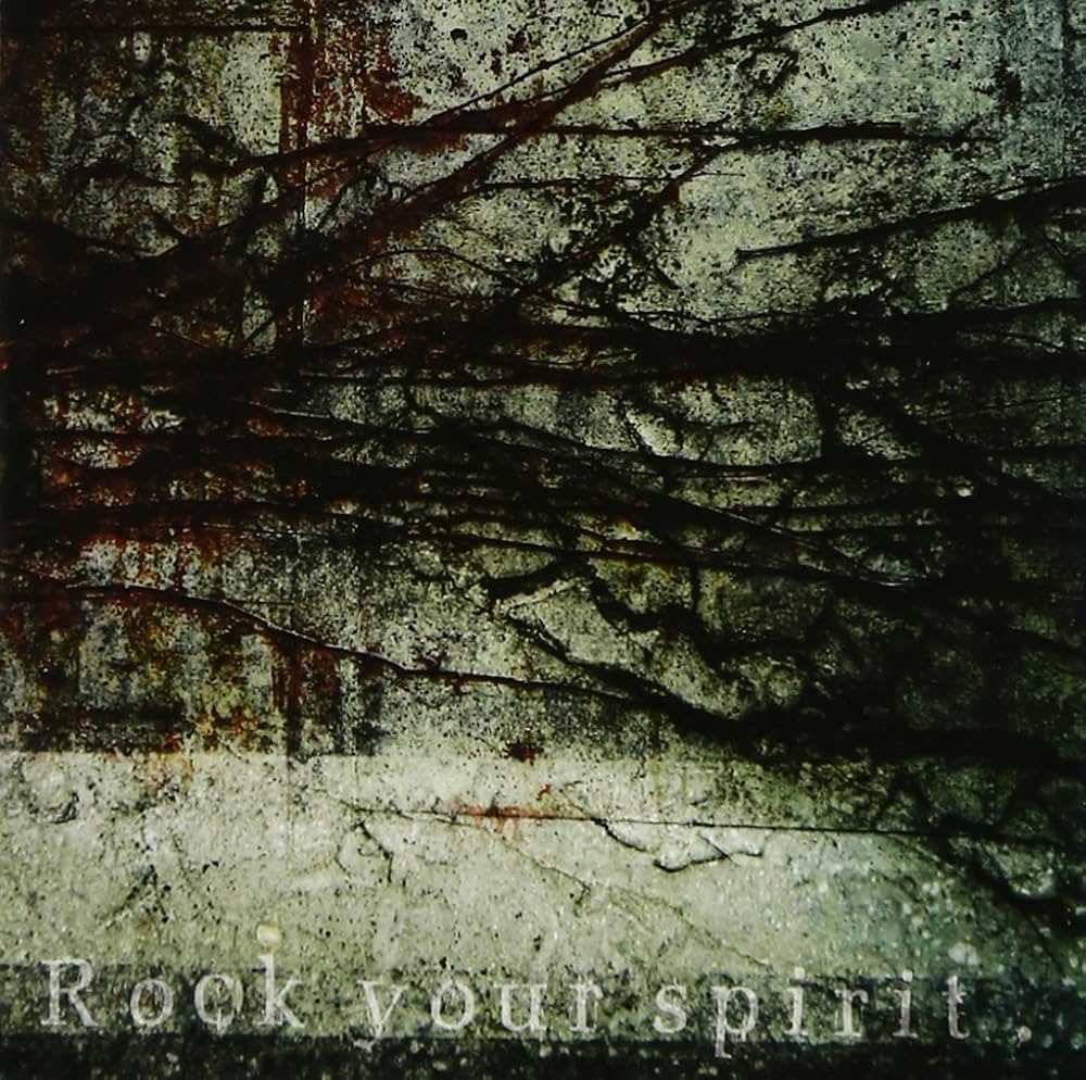 RIP SLYME × JACK ROCKS 2011 CD Rip Slyme Jack Rocks 2011 CD DF | eBay